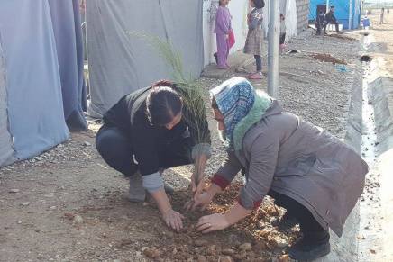 Bäume für Flüchtlingslager