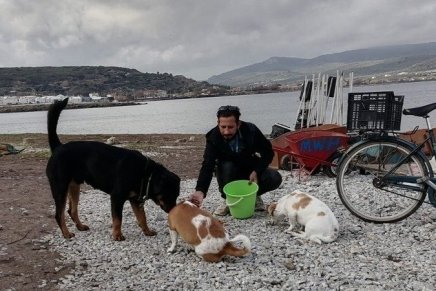 Petition: Bitte akzeptieren Sie das Asylbegehren von dem Leiter der Moria White Helmets in&nbsp;Lesbos