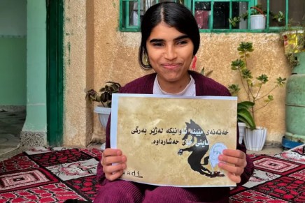 Fortschritte im Kampf gegen FGM in&nbsp;Kurdistan